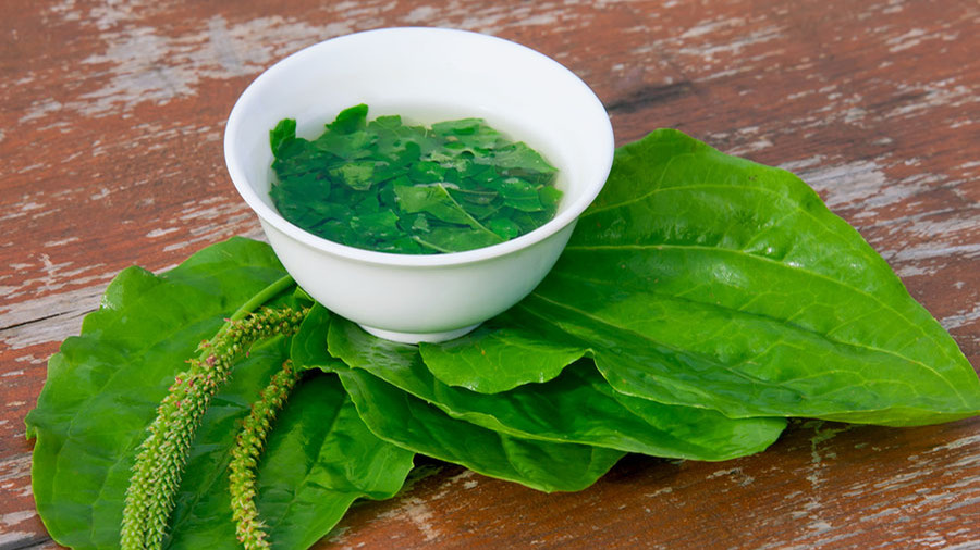 Взято в поисковой системе yandex.ru