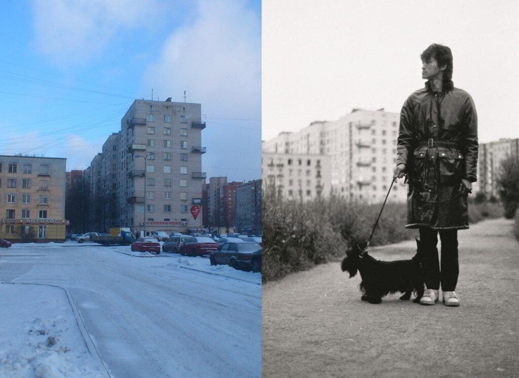 Дом виктора цоя. Виктор Цой проспект ветеранов. Цой на проспекте ветеранов. Дом Виктора Цоя на проспекте ветеранов. Виктор Цой в Ленинграде.