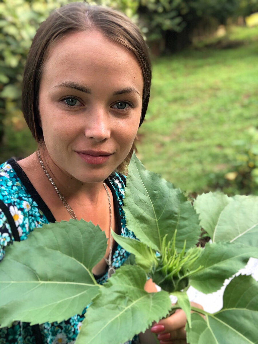 Нежданно-негаданно вырос подсолнух