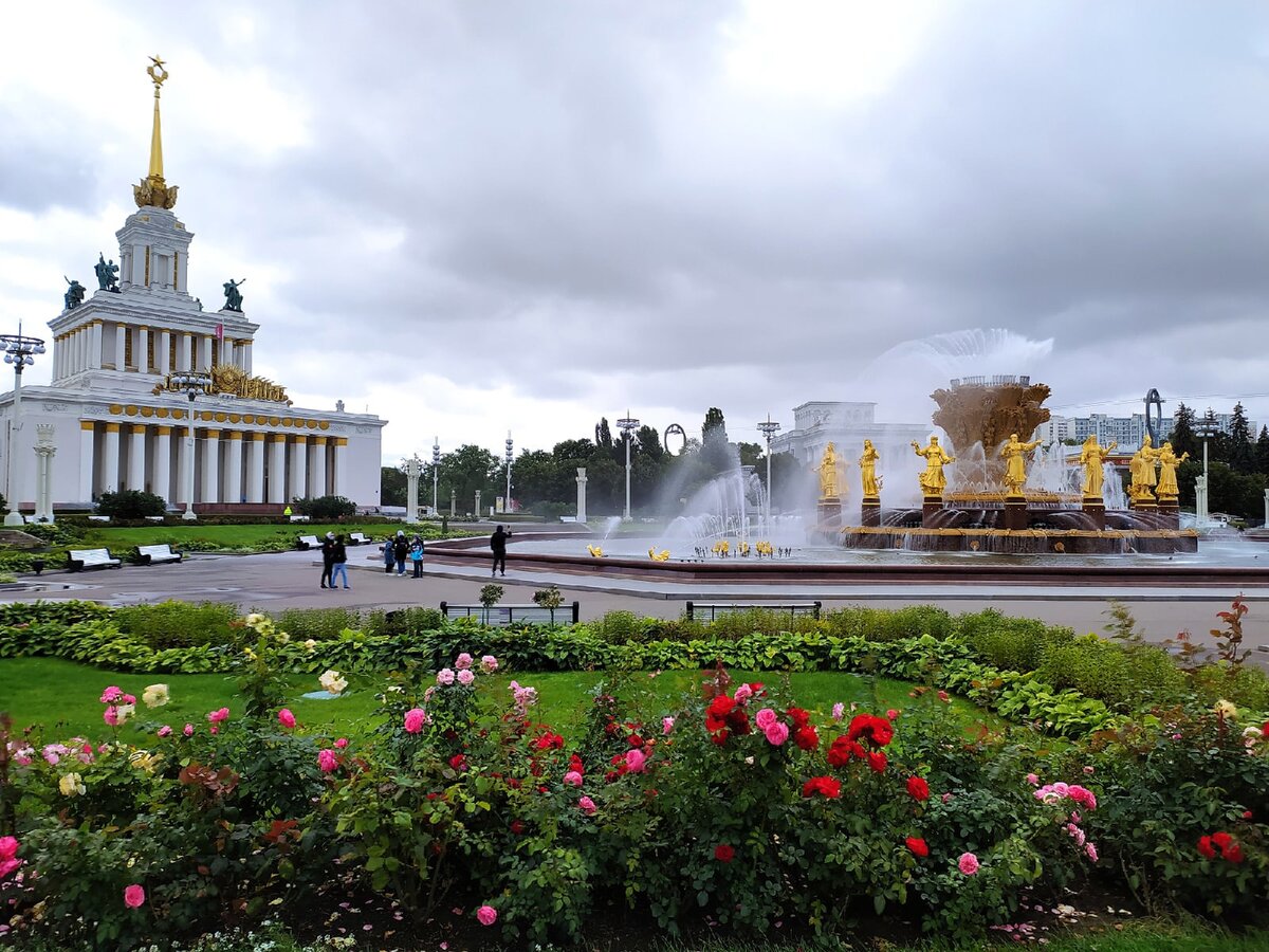 в поисках нужного павильона