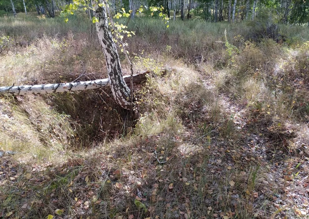 Нашел место с высоким уровнем природной красоты2