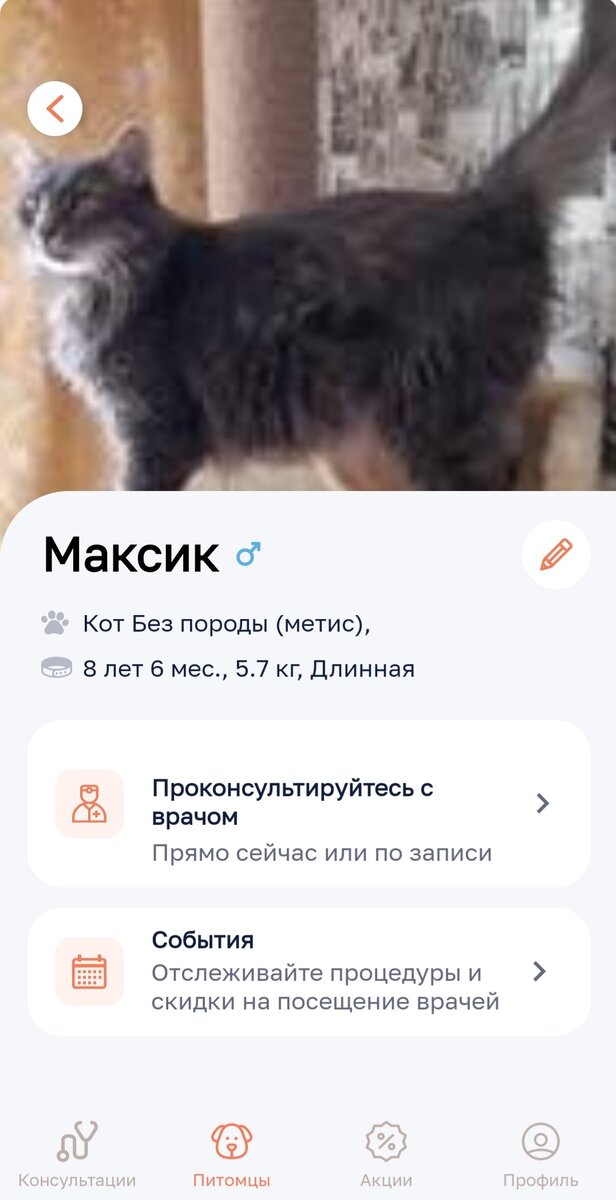 Добавила своего питомца в приложение Petstory.