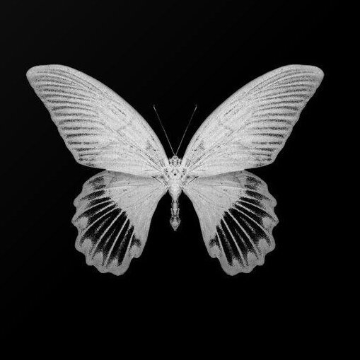 Соответственно нужно проводить только те исследования, которые помогут в выборе вектора перестройки прикуса. Таких много, и каждый стоматолог выбирает для себя самый удобный и информативный. А пугать пациентов картиной МРТ не имеет никакого смысла.  ⠀