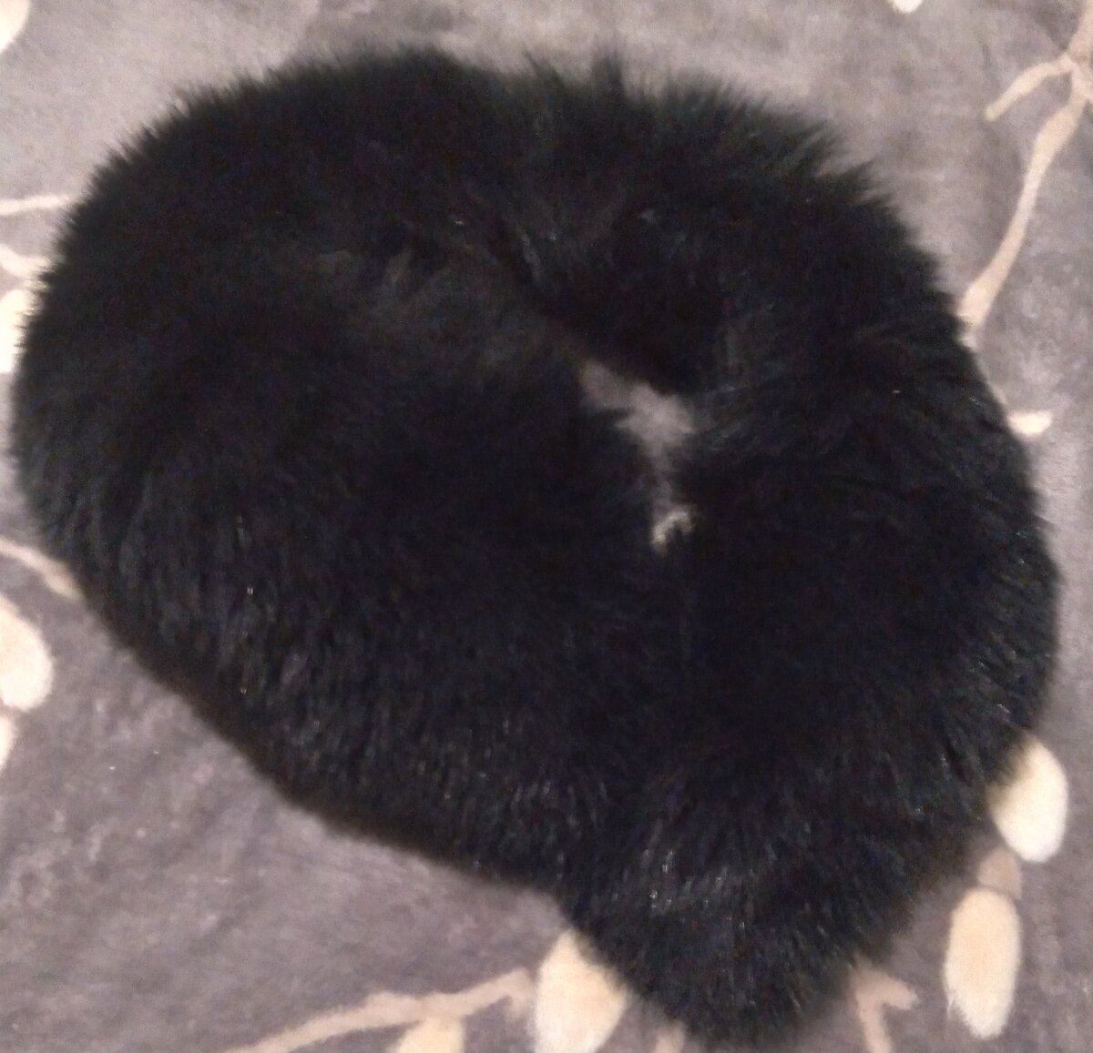 Хотя песец, конечно, неплох...