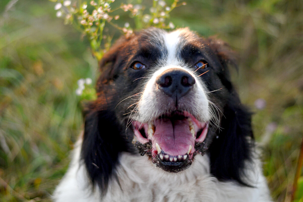 Фото автора Julissa Helmuth: Pexels