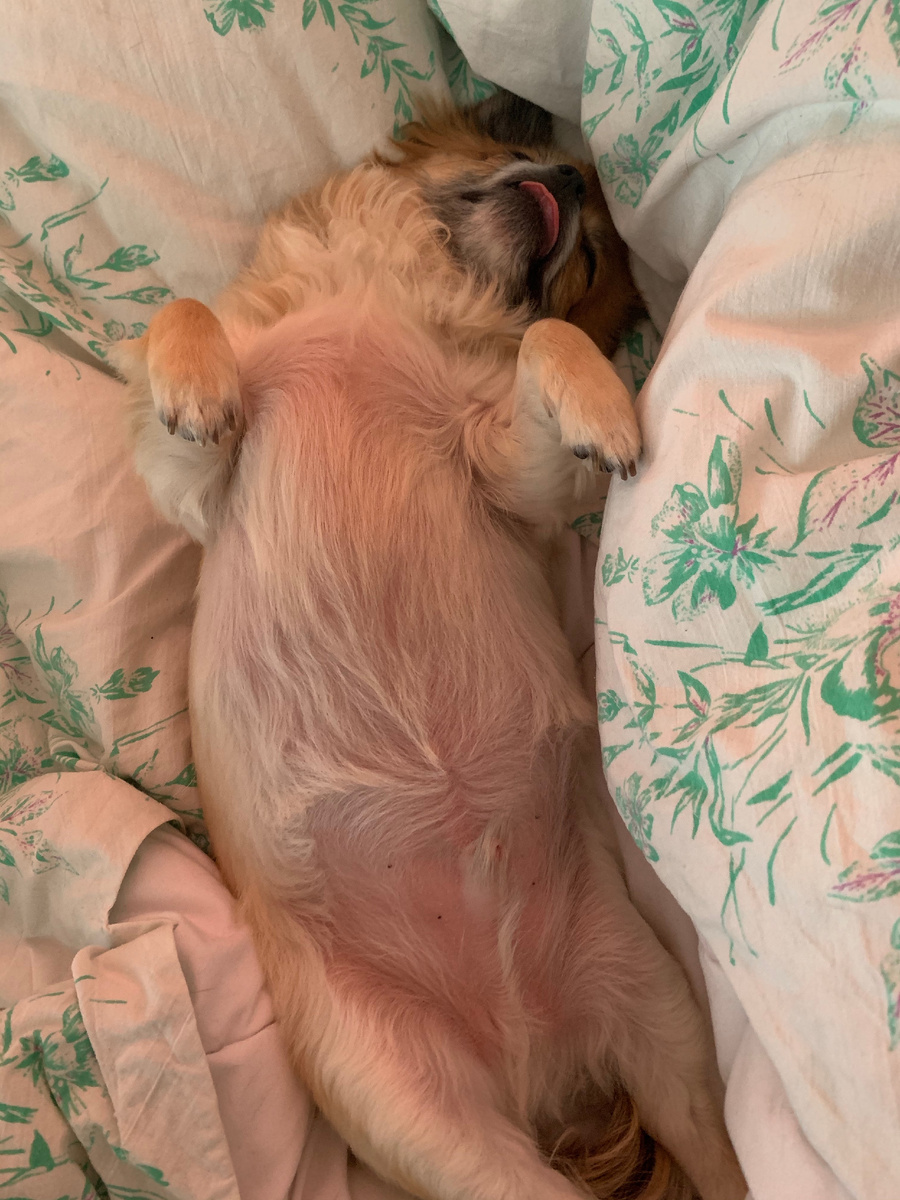 на мягком одеялке всегда хорошо спится