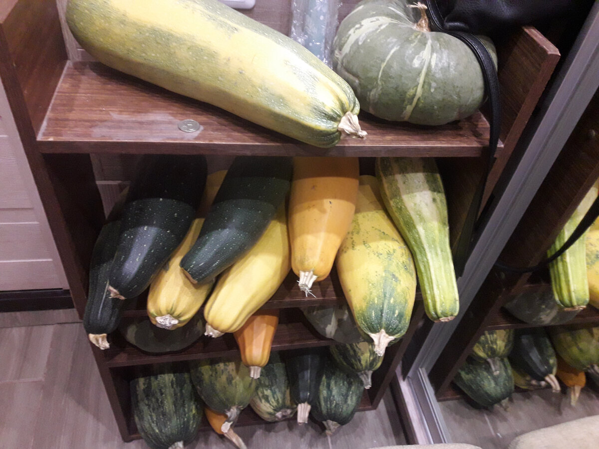 Фото автора канала. У подружки склад кабачков в коридоре