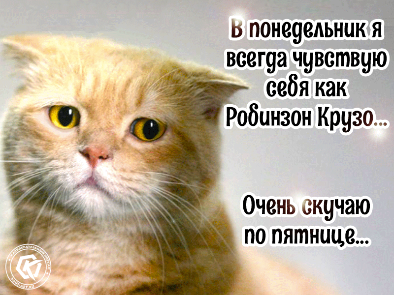 Прикольная картинка с грустным котором, который грустит в понедельник. В понедельник всегда чувствую себя как Робинзон Крузо.. очень скучаю по пятнице
