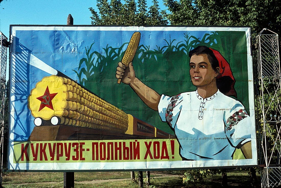 Мы америку догоним. Кукуруза царица полей Хрущев. Плакаты Хрущева кукуруза. Кукуруза СССР Хрущев. Кукуруза царица полей плакат.