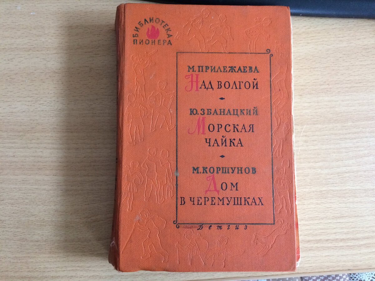 📖 Пошла выносить мусор и увидела стопку книг. В ней была книга из моего  детства | Шафрановое небо | Дзен