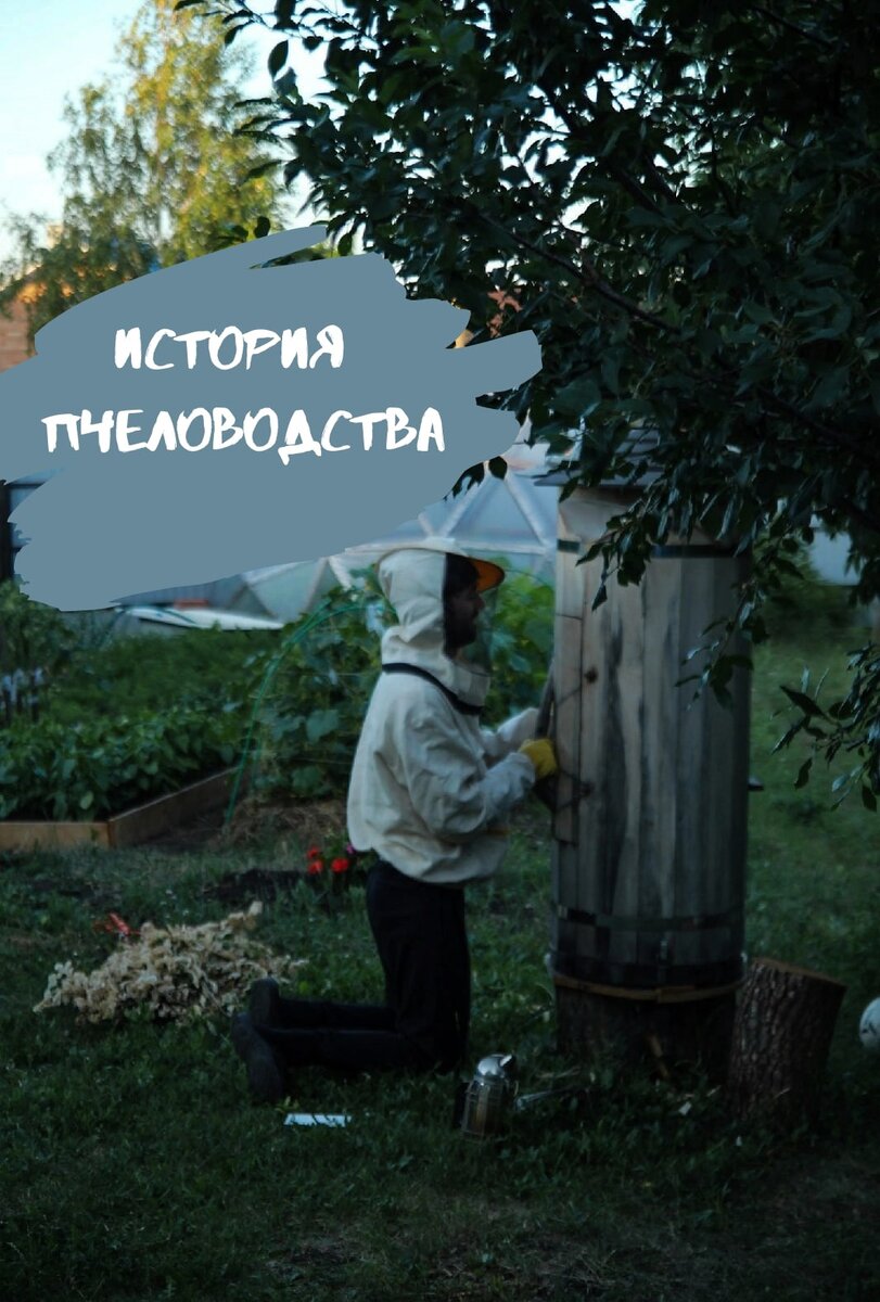 Автор за работой