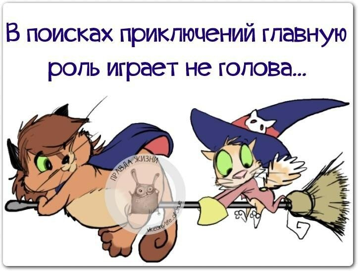 Цитаты про приключения на попу. Анекдоты про приключения на пятую точку. Цитаты про приключения на попу. Нахожу приключения на свою попу. Приключения на пятую точку.