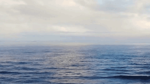 Экологичное покрытие для пола