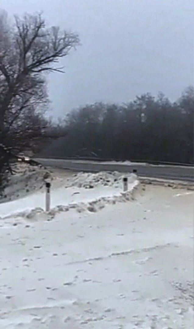 В этих местах нашли семейство. Маму собаку и 4 щенков