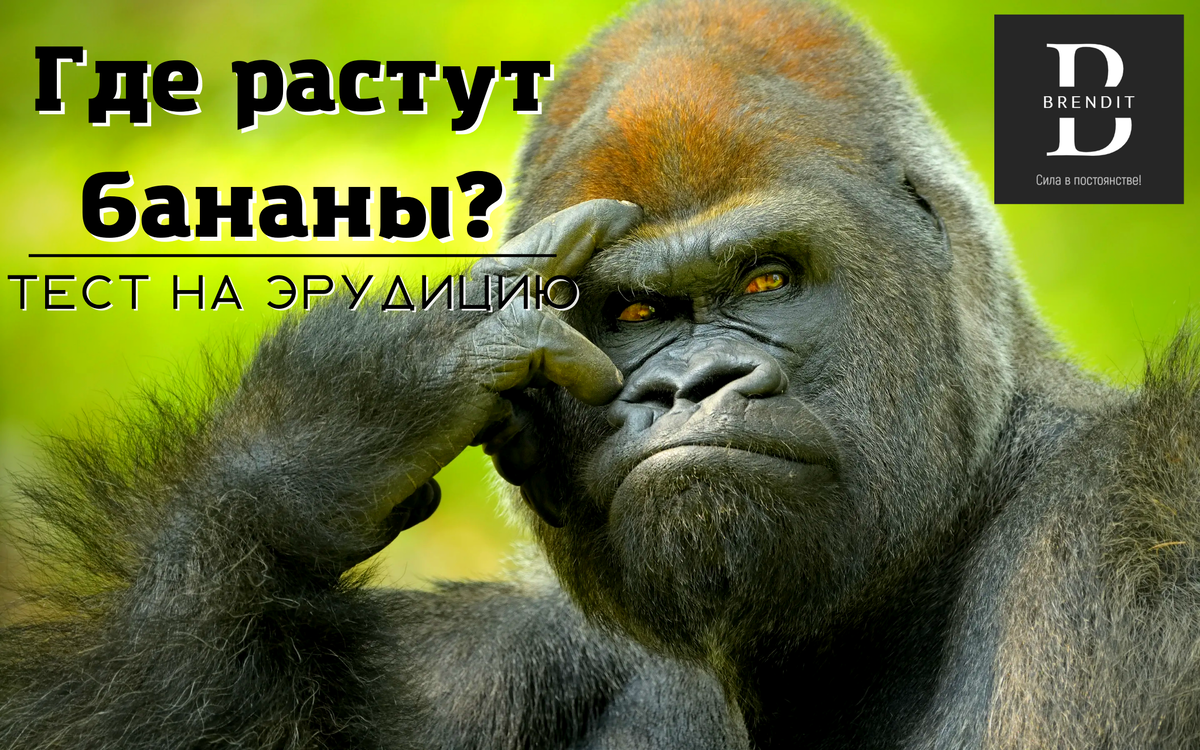 Источник исходника: goodfon.ru