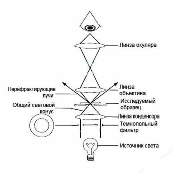 Строение темнопольного конденсора 