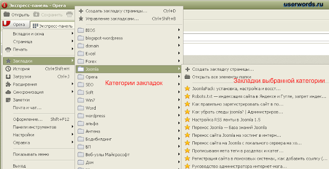 Рис 1. Закладки в Опере.