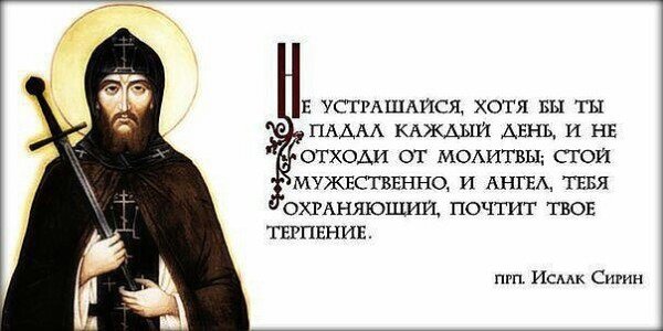 Источник: Яндекс. Картинки