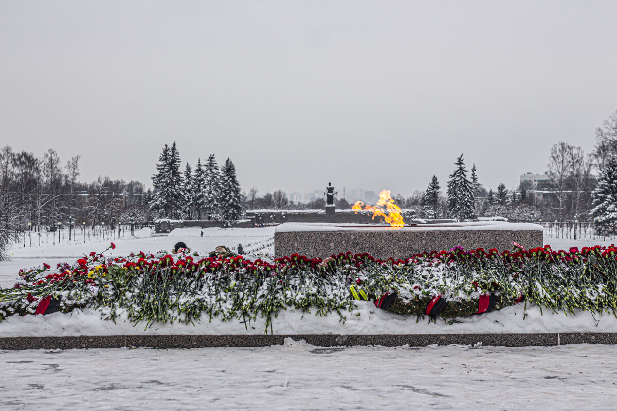 Пискаревское кладбище. Фотография автора.