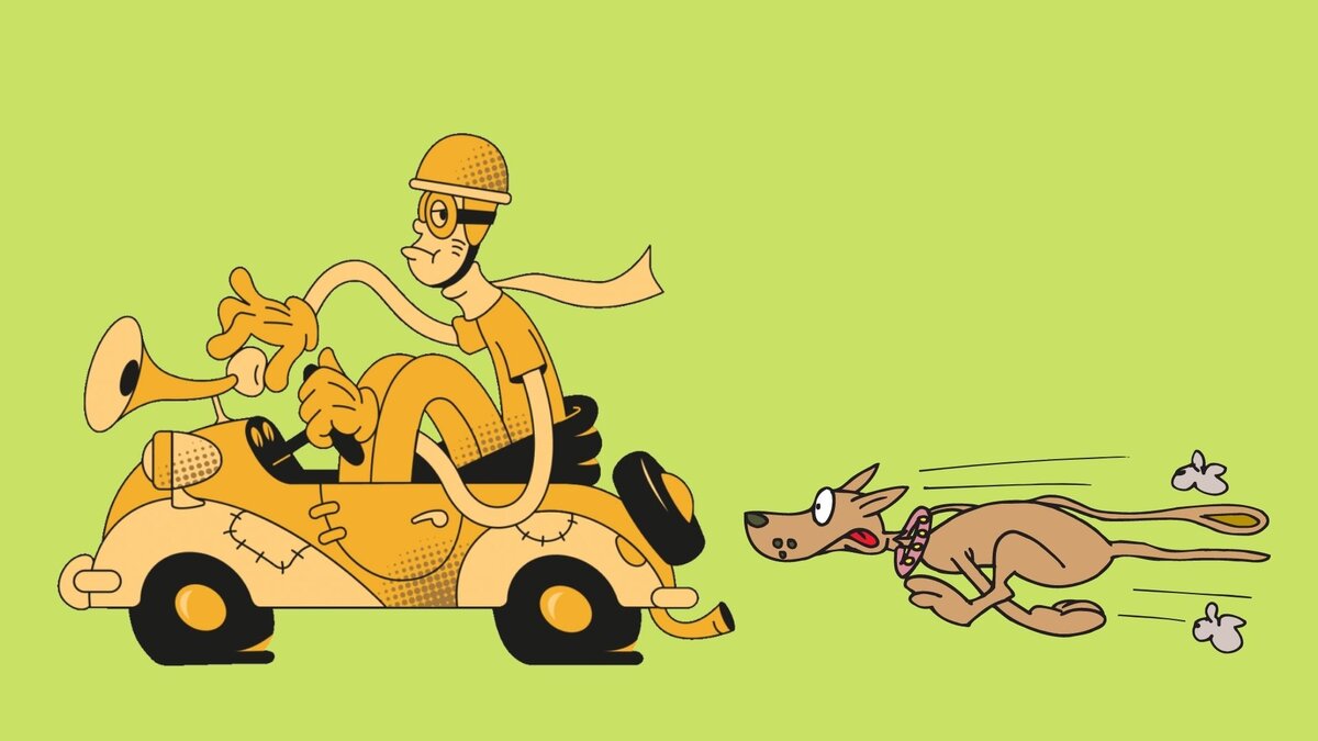 Почему собака бегает за машинами?