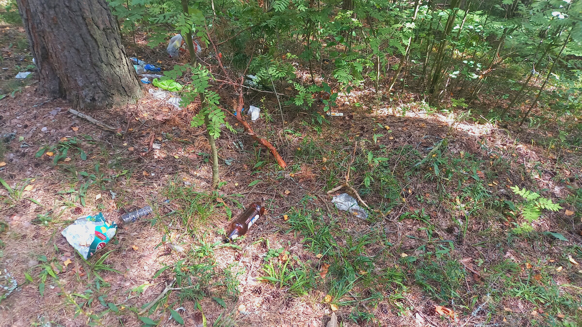 "Дары" лесу от нелюдей