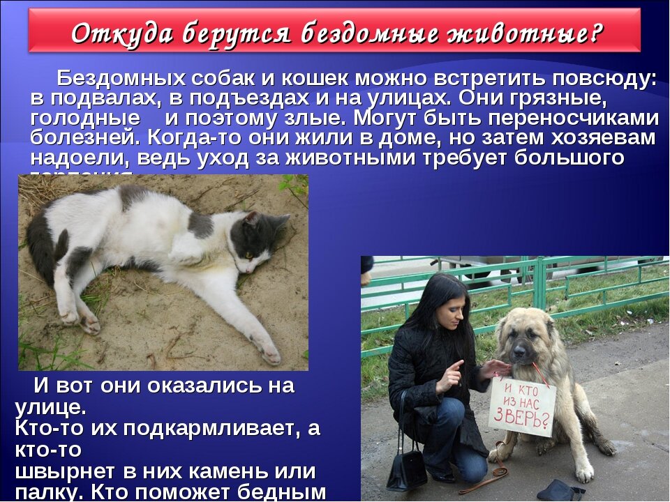 Помощник на краю нередко становится героем