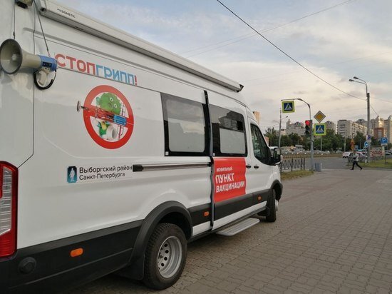     Фото: МК в Питере