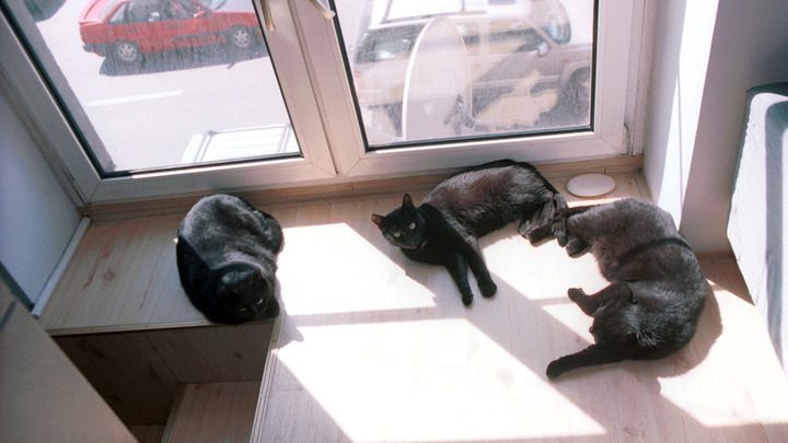 ФОТО: НАТАЛЬЯ ЛОГИНОВА/RUSSIAN LOOK/GLOBALLOOKPRESS