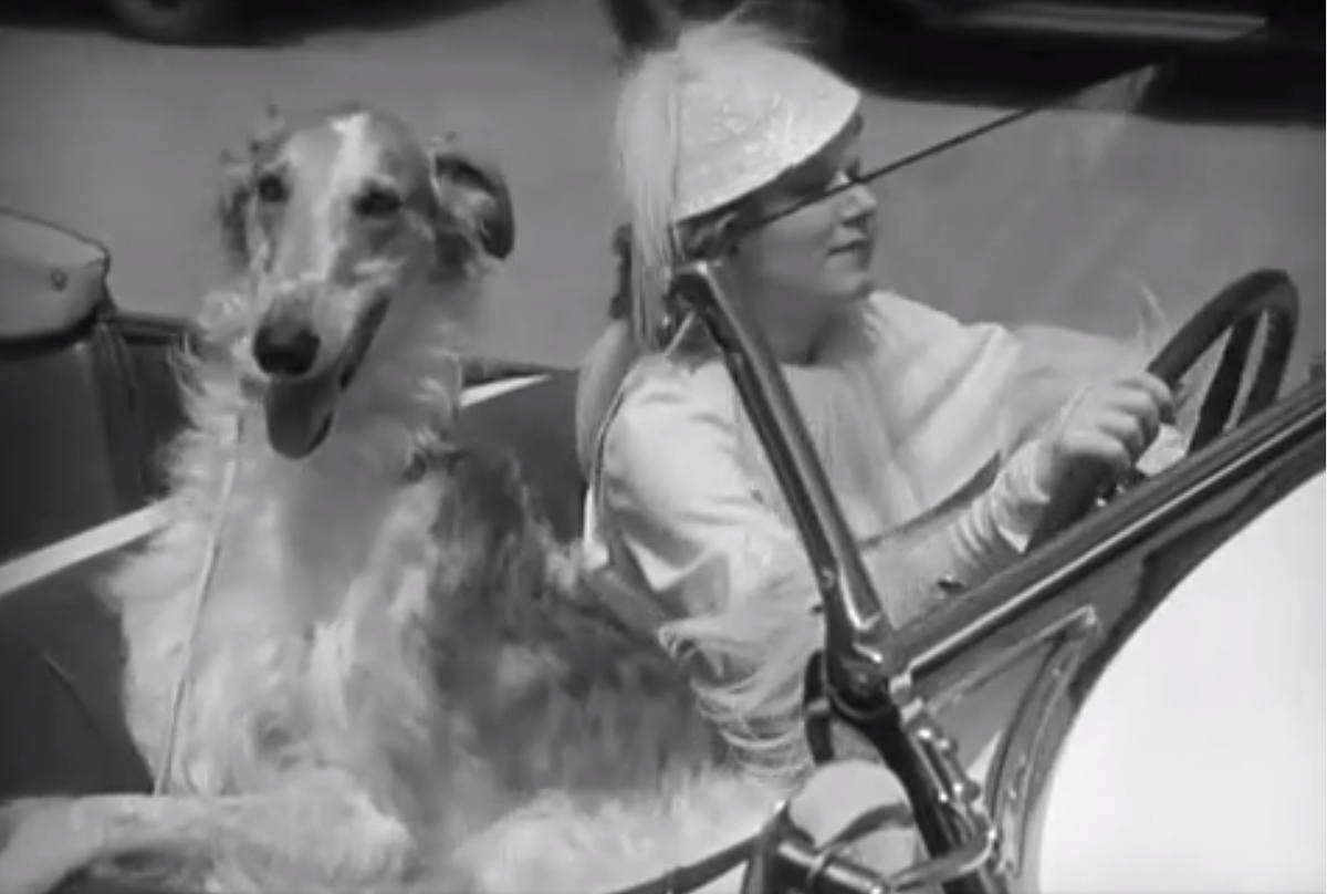 Кадр из фильма "Женщина с рыжими волосами": меркантильная героиня Джин Харлоу пришла к успеху и ездит в белом авто в компании собаки