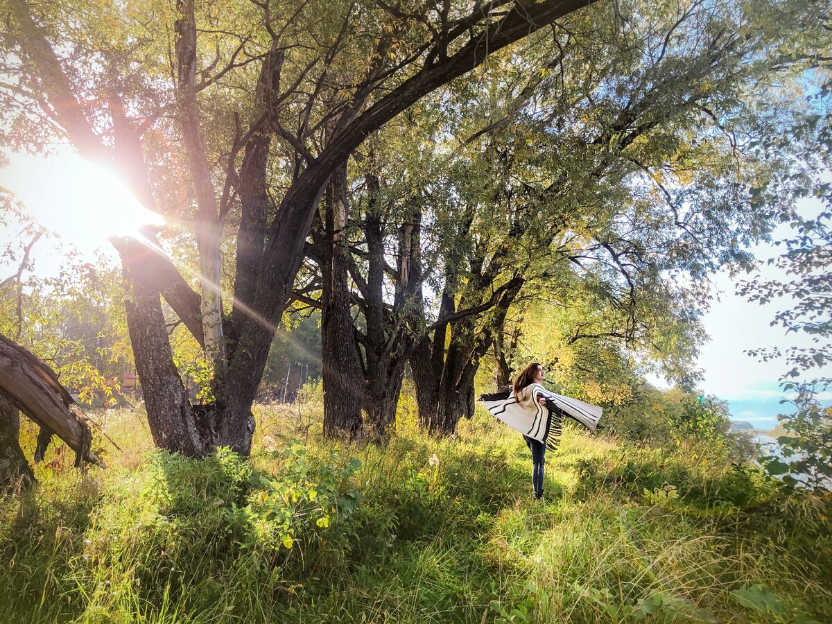 Берег Ветлуги в Галибихе