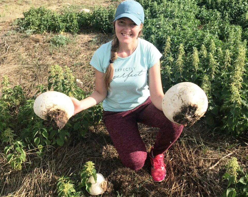 Дождевики рядом с высохшим озером