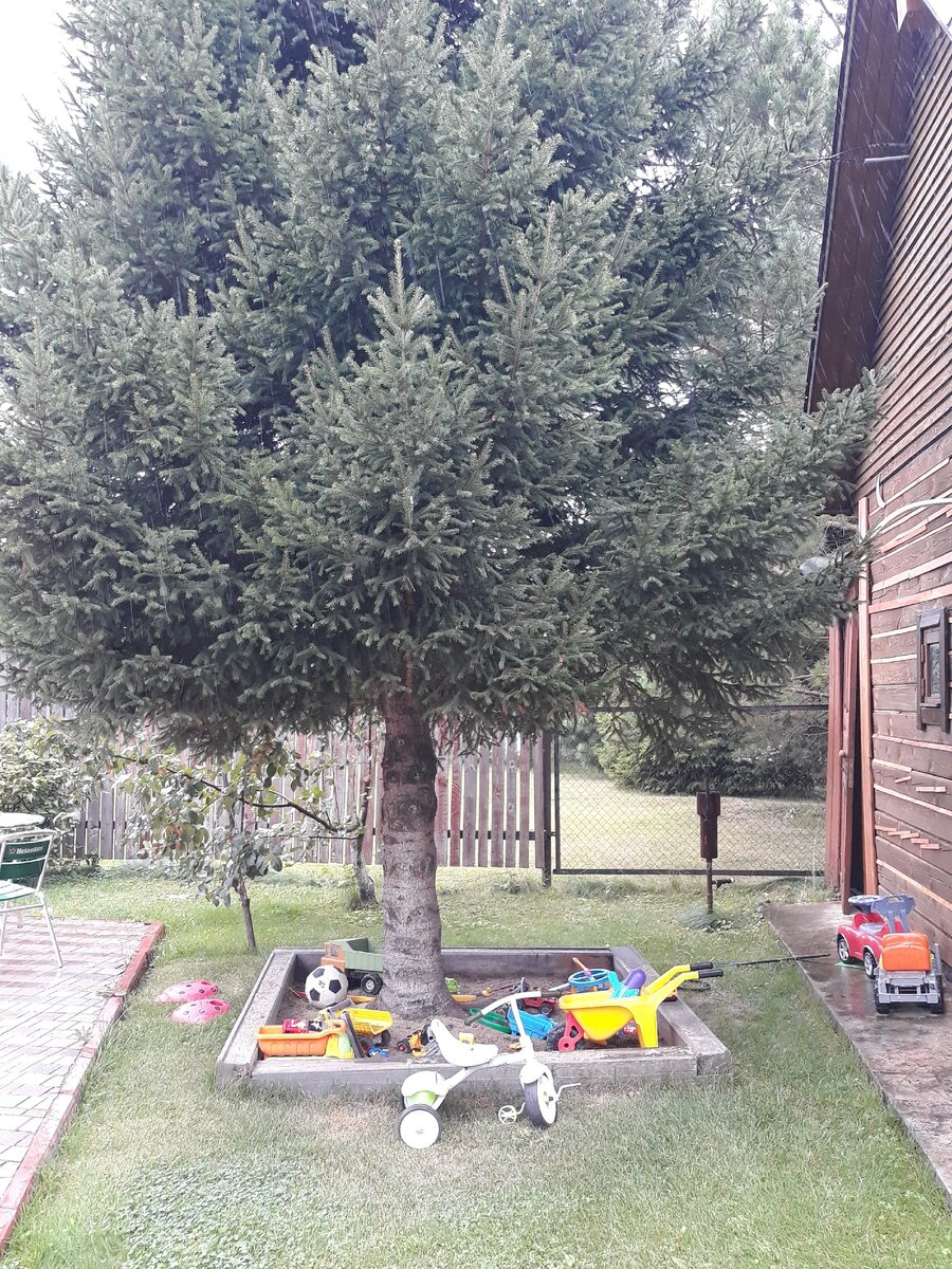 Все как есть) Наша песочница! 