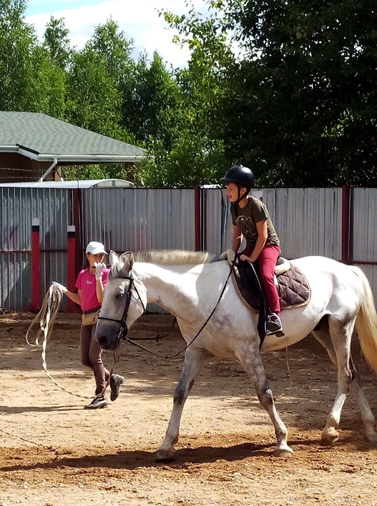 Мишка на коне Поклон