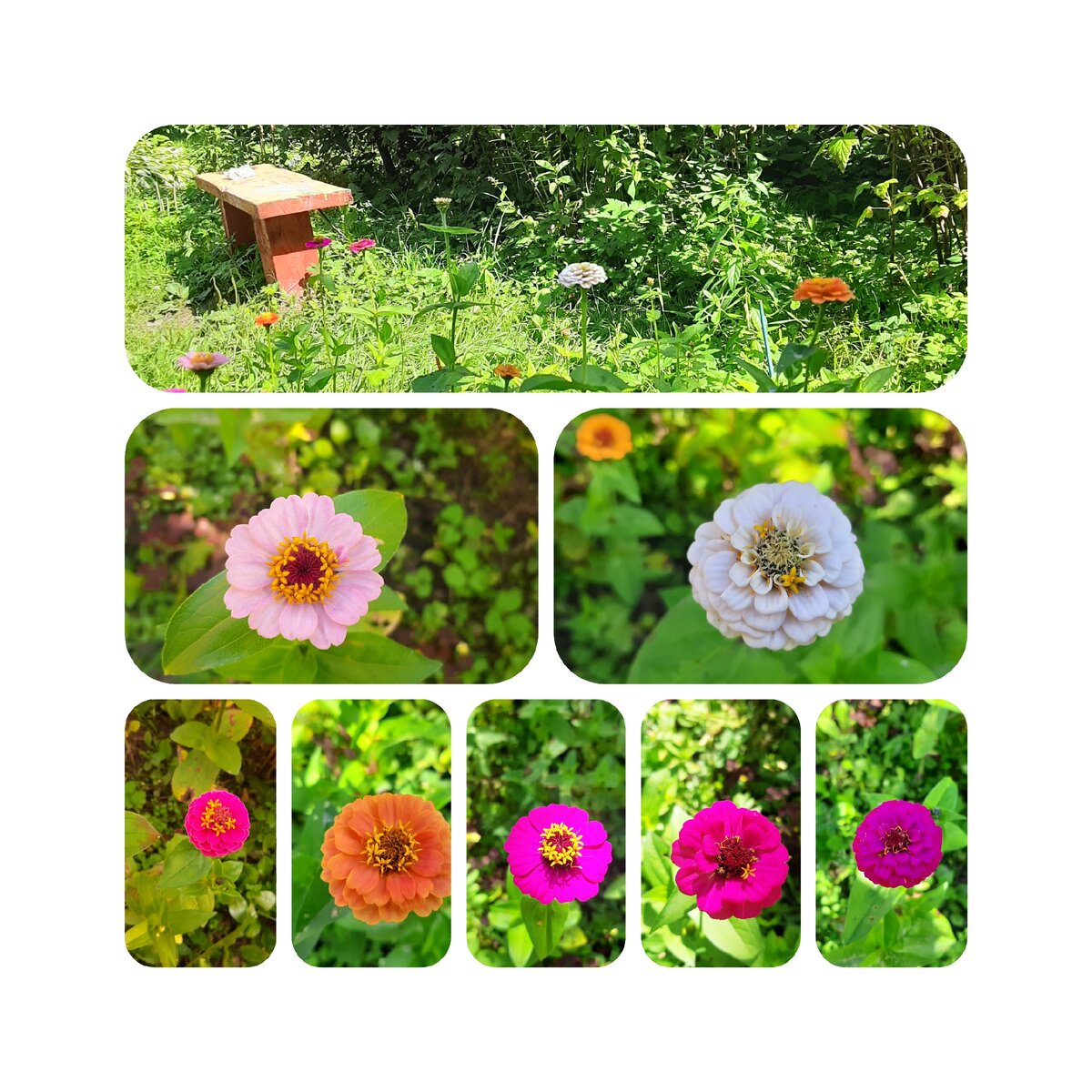 Все фото автора