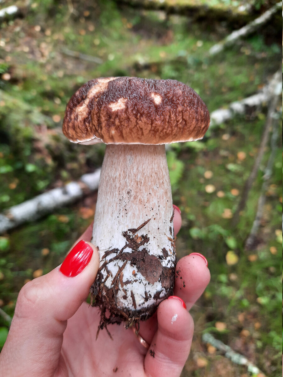 Самый красивый из всего улова