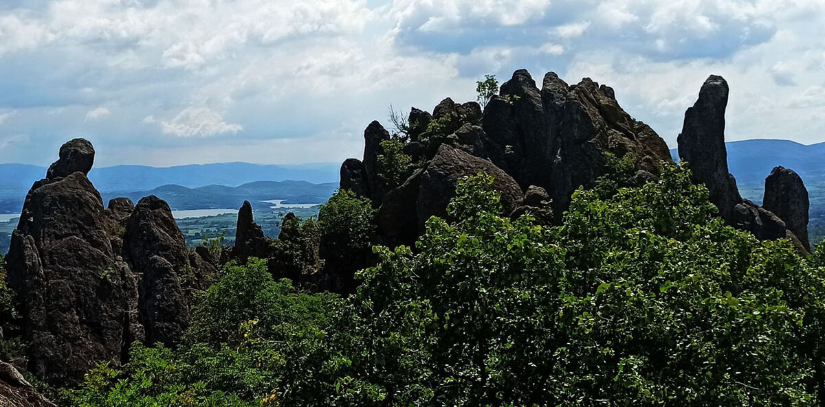 Борачки крш