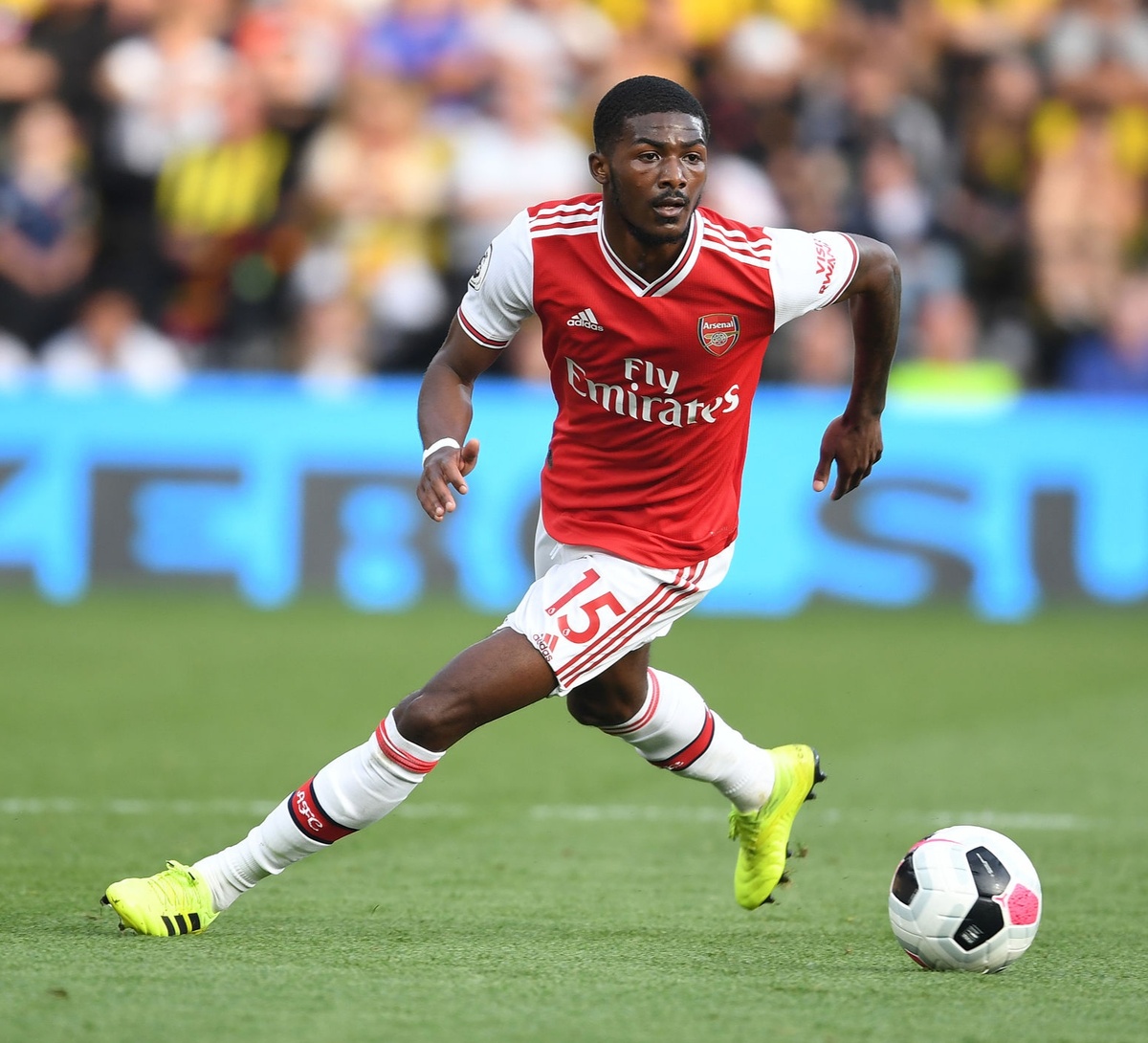 Энсли Мэйтленд-Найлз