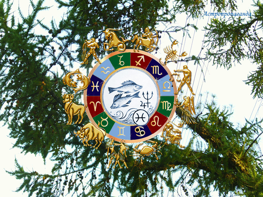 Коллаж Нины Стрелковой.