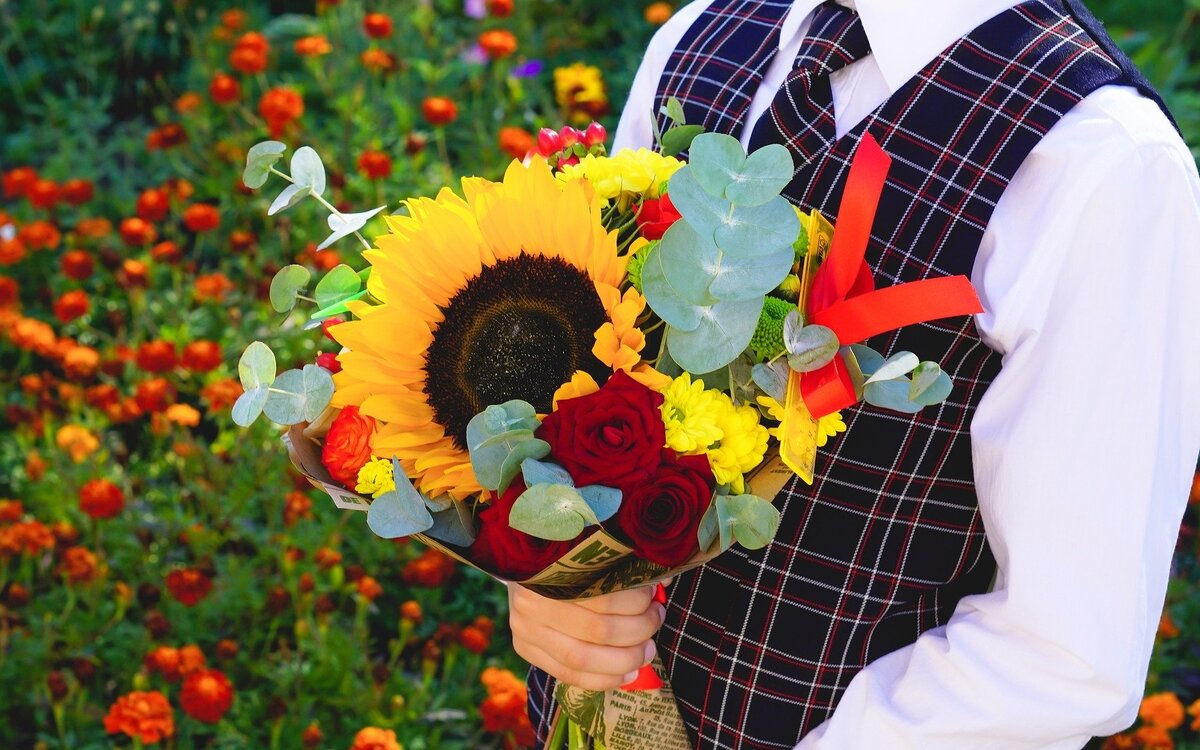 Фото:https://pixabay.com