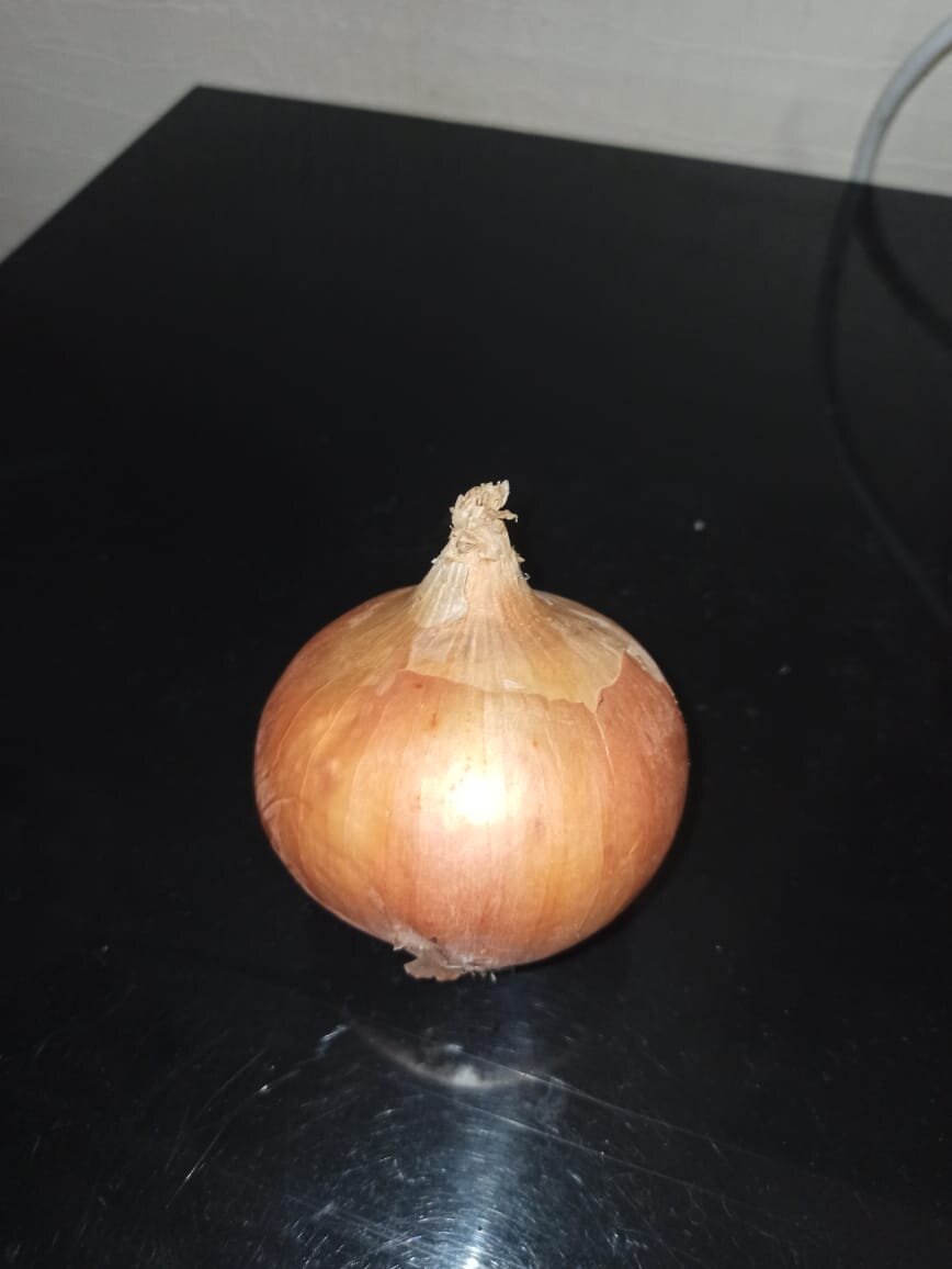 Лук
