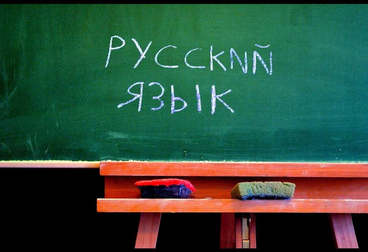Тест по русскому языку: а вы сможете правильно расставить запятые в этих  предложениях? | Интеллектуальный уголок | Дзен