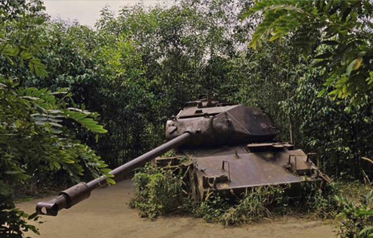 Ископаемый. Взято с вьетнамского сайта.