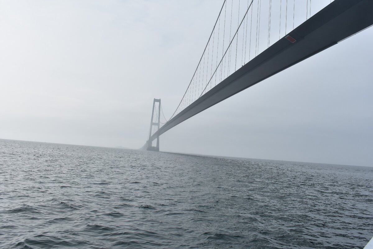 Under the bridge