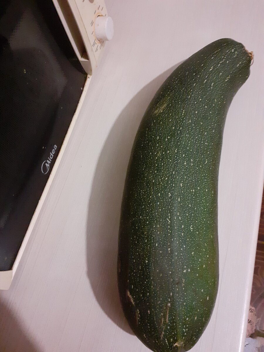 Кабачок цукини