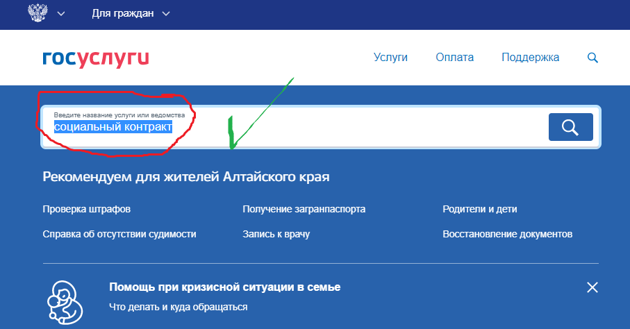 Пример на Госуслугах.