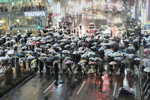 Если бы пришельцы очутились в дождливый день в Токио, они получили бы очень искажённое представление о том, как выглядит человек. 