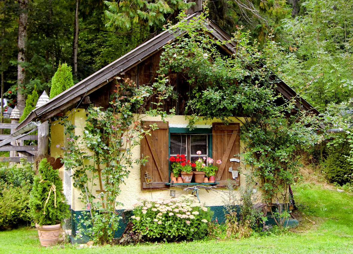 Фото: pxhere.com