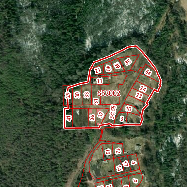 фрагмент официальной кадастровой карты, содержащей отмежеванные участки