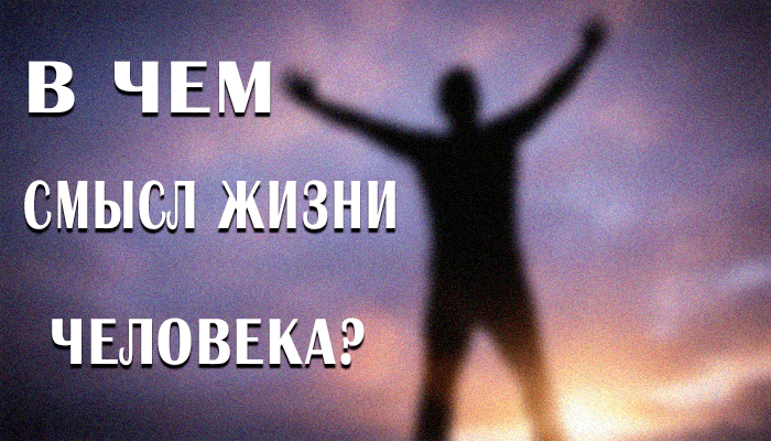 Смысл жизни человека. В чём смысл жизни человека. Смысл жизни человека на земле. В чем смысл жизни картинки.