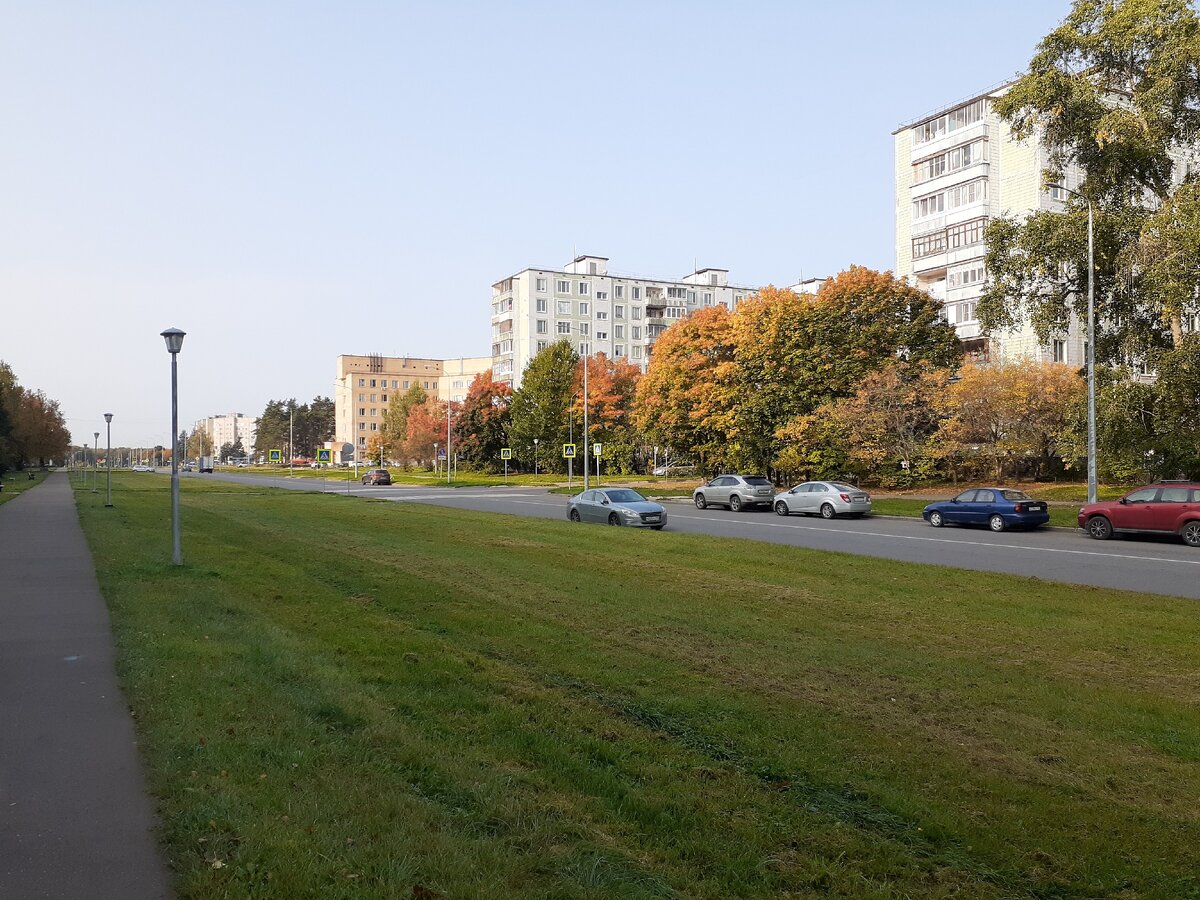 Золотая осень в городе | Живой мир вокруг меня | Дзен